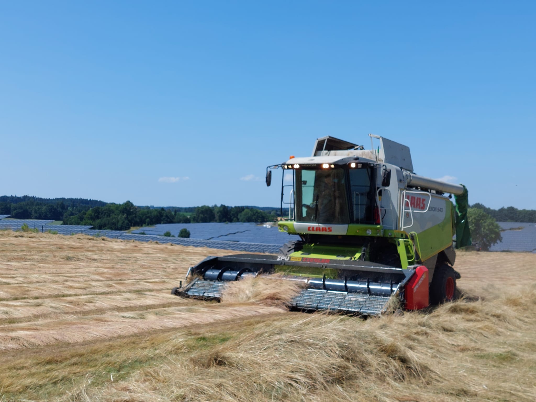 WhatsApp Image 2025-06-25 at 14.38.25(1)