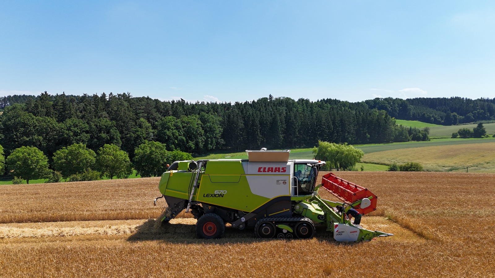 WhatsApp Image 2025-06-30 at 15.41.57