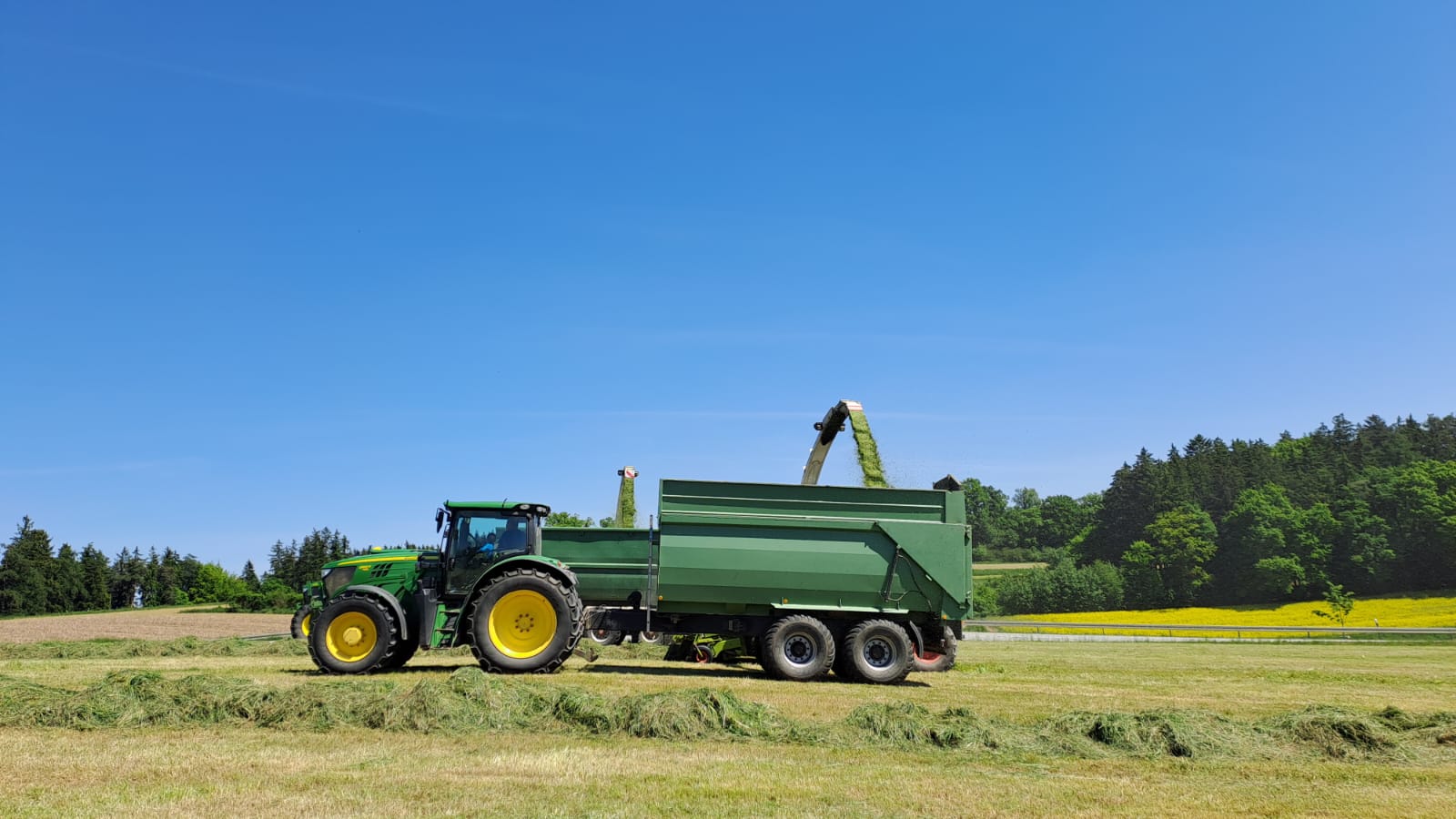 WhatsApp Image 2025-05-11 at 17.14.50