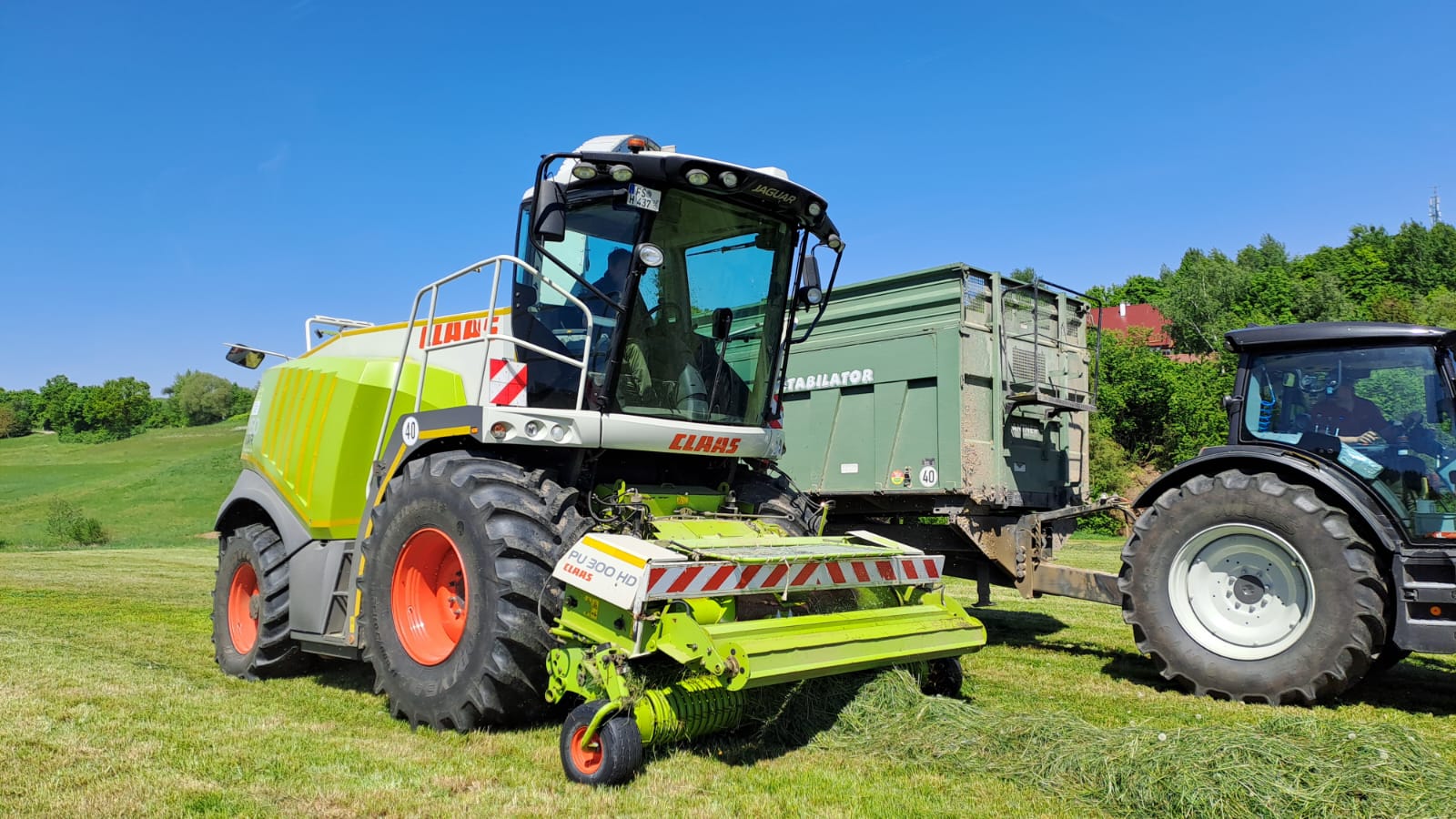 WhatsApp Image 2025-05-11 at 17.14.53