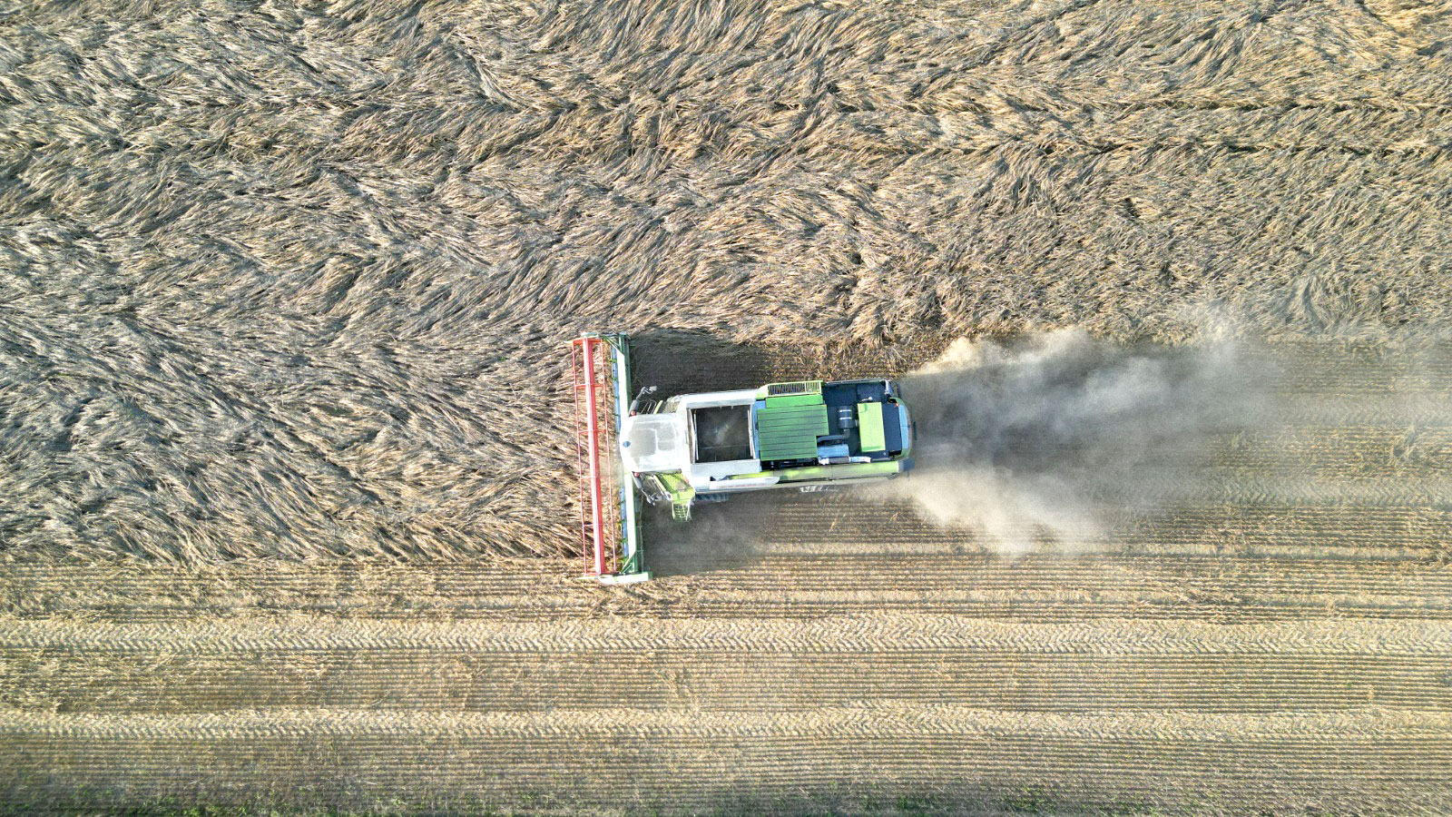 hoegl-claas-maehdrescher-ernte