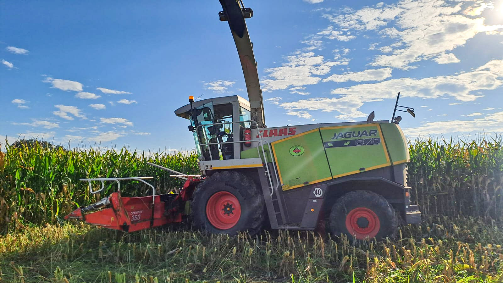 claas-jaguar-lohnunternhemen-mais-ernte