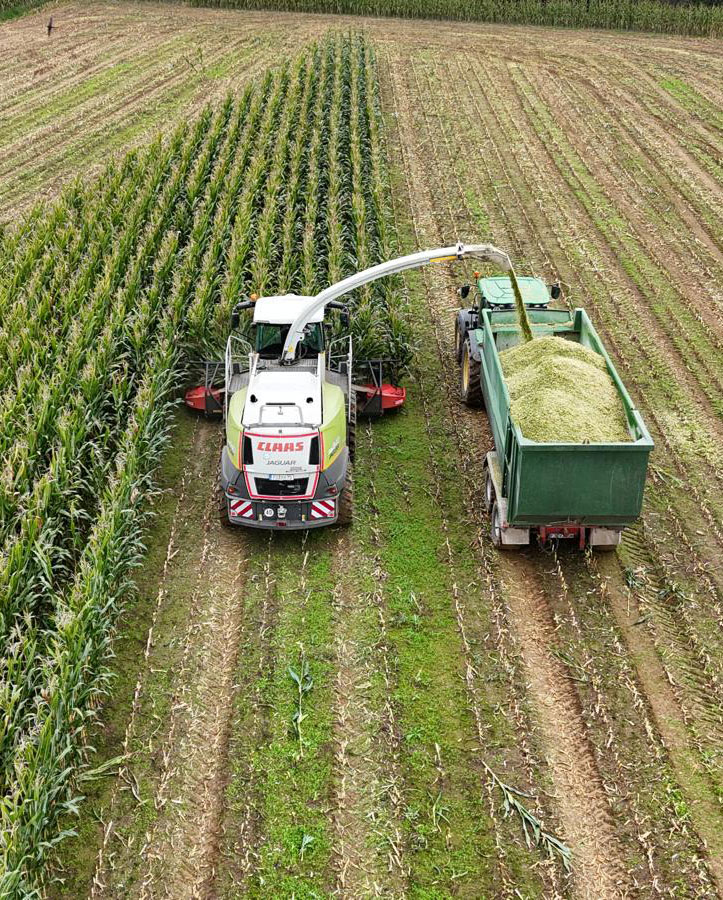 haeckler-ernte-mais-hoegl