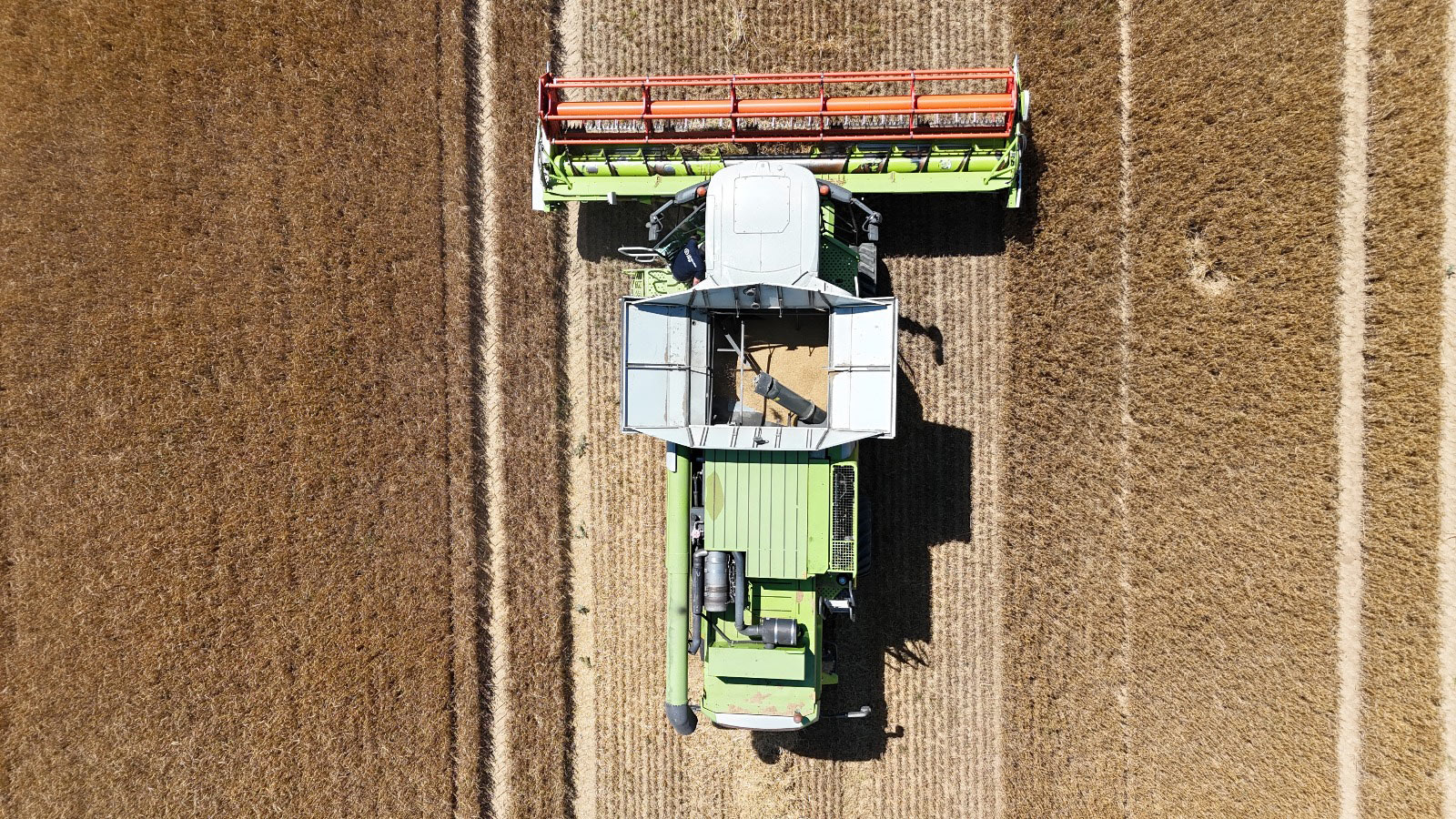 maehdrusch-erntepartner-lohnunternehmen-hoegl